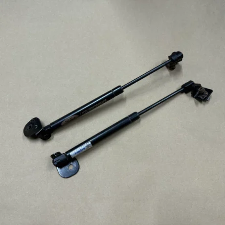 Ford Mustang GT Eco Boost V6 Ford Performance Hood Shocks Struts Kit