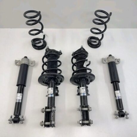 24-26 Ford Mustang GT Performance Shock Strut Spring