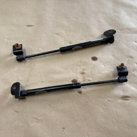 Ford Mustang GT Eco Boost V6 Ford Performance Hood Shocks Struts Kit