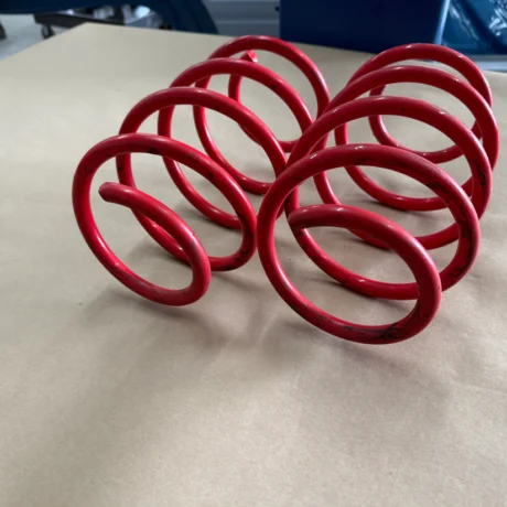 Ford Mustang GT JDM Sport Front Lowering Springs NON Magneride