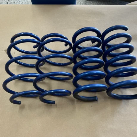 Ford Mustang GT Lowering Springs Unknown Brand