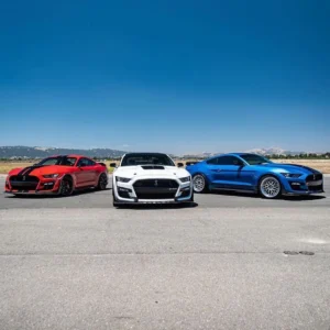 Which one you picking 🇺🇸-#AmericanMuscle #mustangang_ #ford #mustang #mustangs #mustanggt #ex (1)