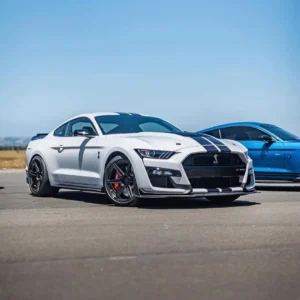 Which one you picking 🇺🇸-#AmericanMuscle #mustangang_ #ford #mustang #mustangs #mustanggt #ex (3)