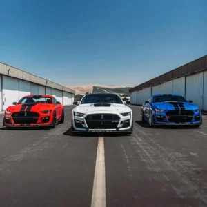 Which one you picking 🇺🇸-#AmericanMuscle #mustangang_ #ford #mustang #mustangs #mustanggt #ex