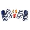 Mustang Ford Performance Lowering Springs & Handling Packs - Image 9