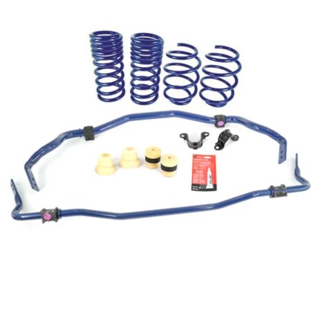 Mustang Ford Performance Street Sway Bar & Spring Kit