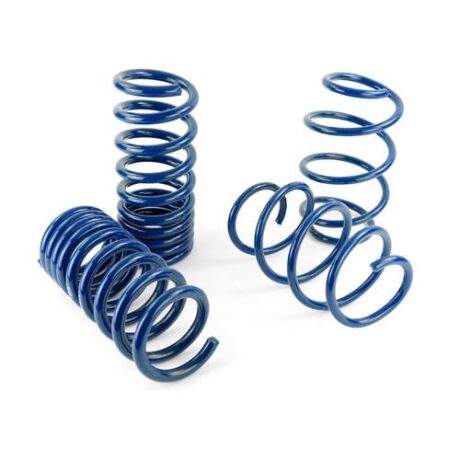 Mustang Ford Performance Sway Bar & Spring Kit GT350/GT350R