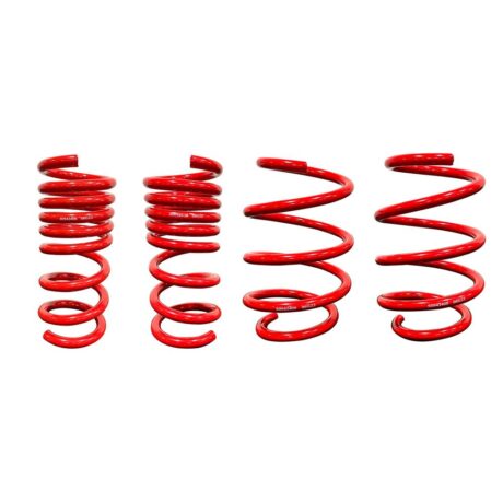 Mustang BMR Lowering Springs