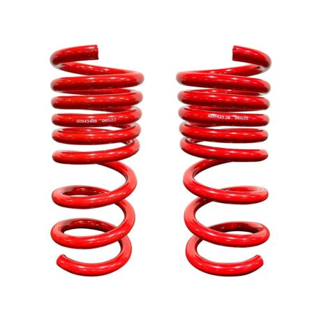 Mustang Roush Lowering Springs